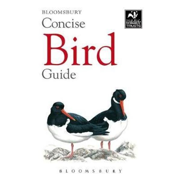 Concise Bird Guide