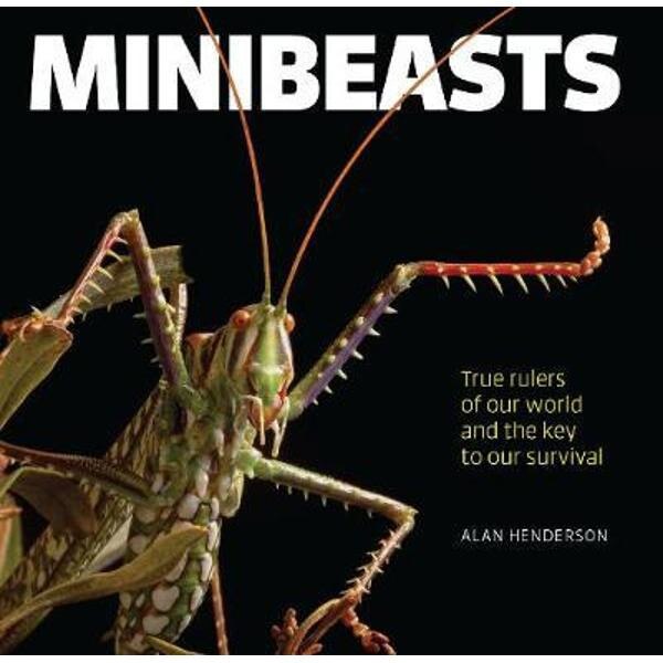 Minibeasts