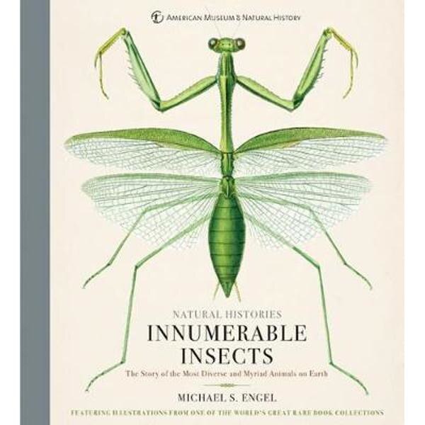Innumerable Insects