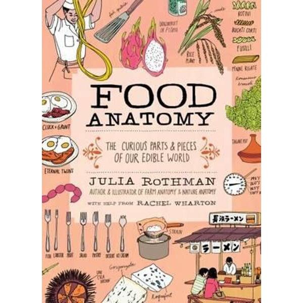 Food Anatomy