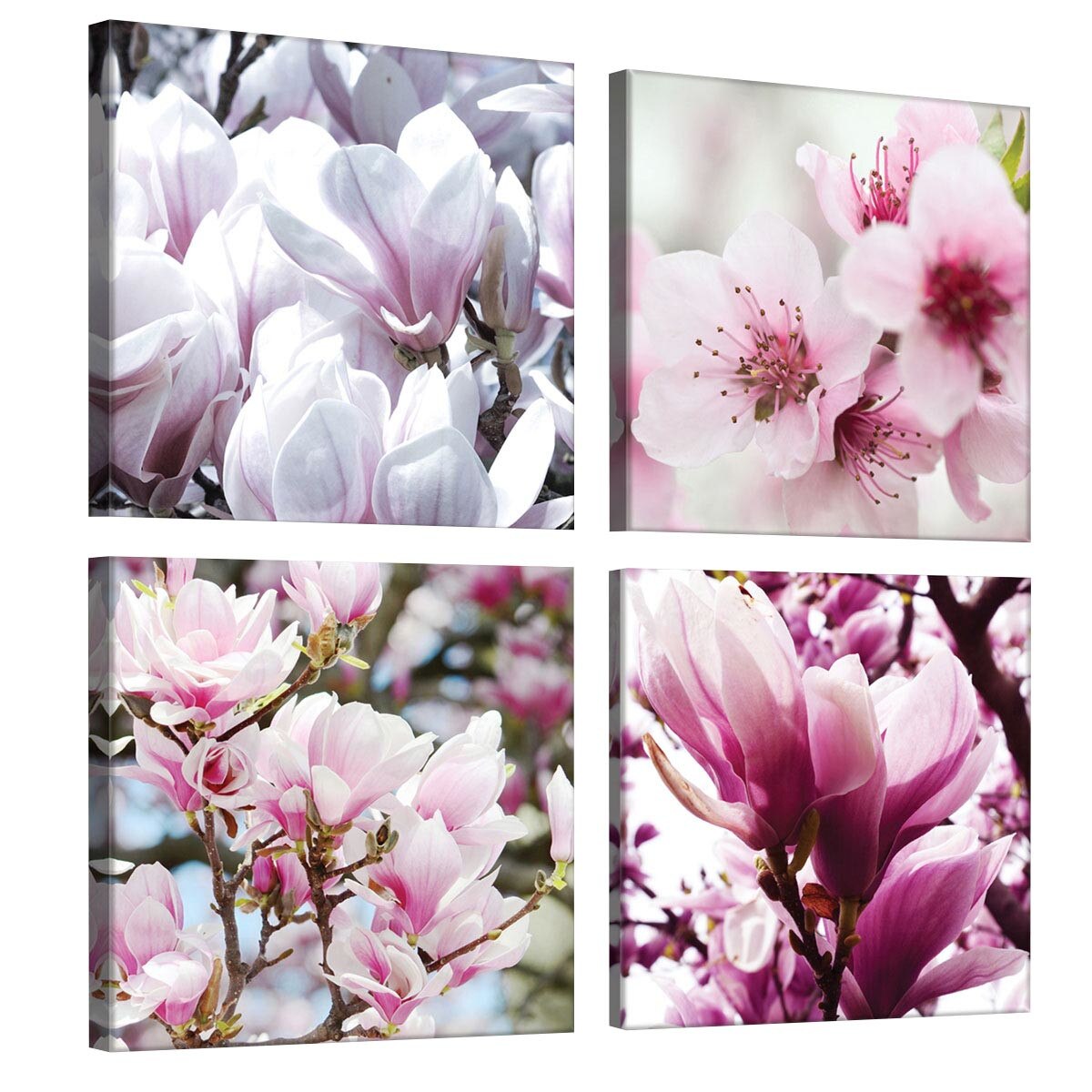 Set Tablouri DEGRETS 78600 Canvas, 50 x 50 cm, 4 piese (4x25x25 cm), Magnolie 2