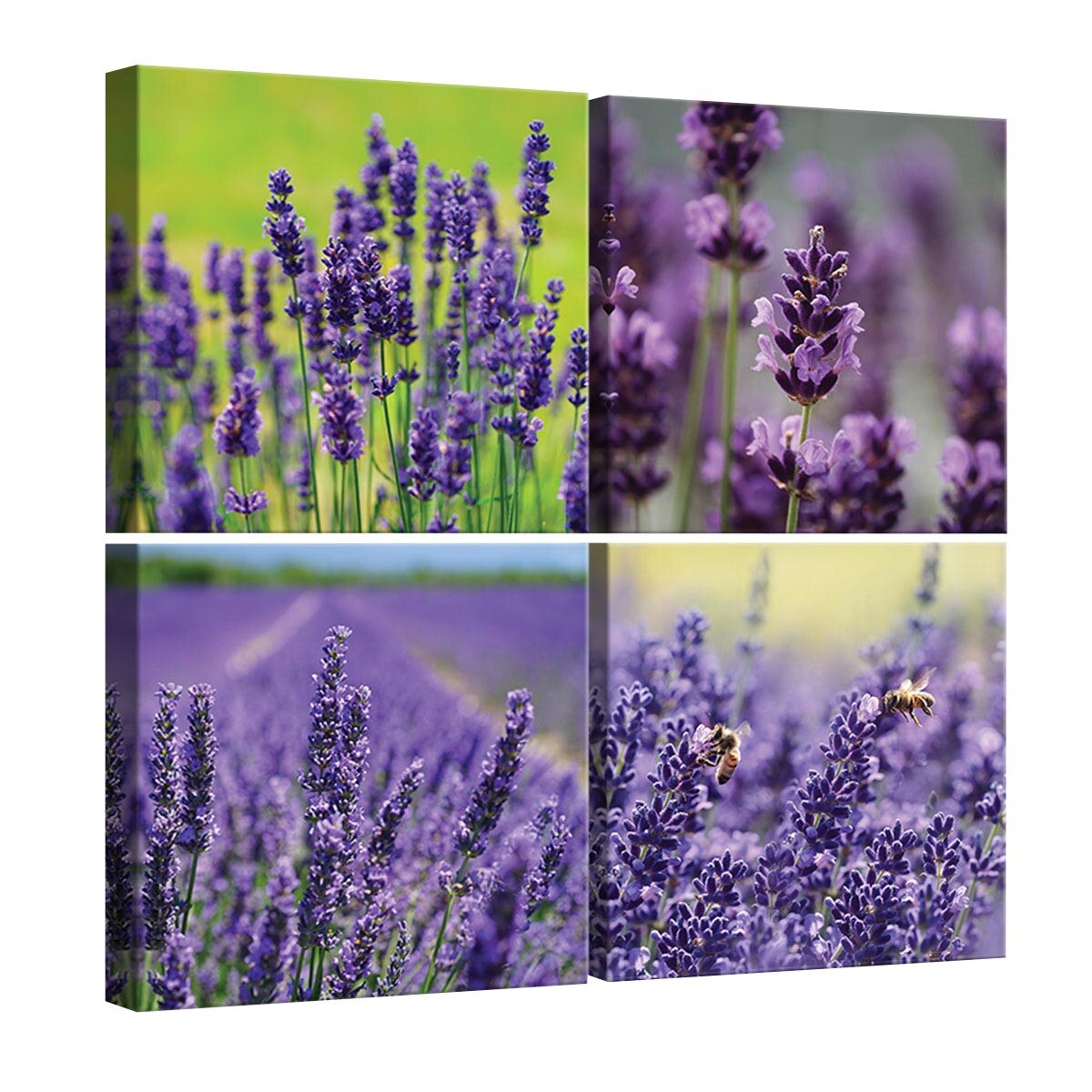 Set Tablouri DEGRETS 78610 Canvas, 50 x 50 cm, 4 piese (4x25x25 cm), Lavanda 2