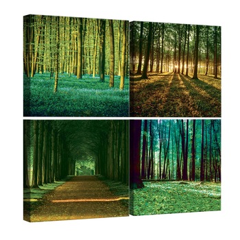Set Tablouri DEGRETS 78618 Canvas, 50 x 50 cm, 4 piese (4x25x25 cm), Peisaje padure 2 Set Tablouri DEGRETS 78618 Canvas, 50 x 50 cm, 4 piese (4x25x25 cm), Peisaje padure 2