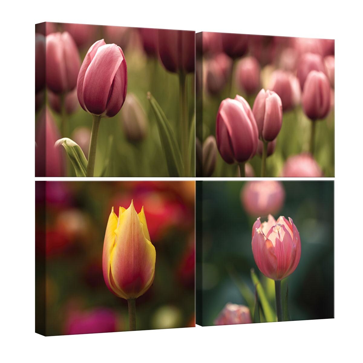 Set Tablouri DEGRETS 78621 Canvas, 50 x 50 cm, 4 piese (4x25x25 cm), Lalele 3