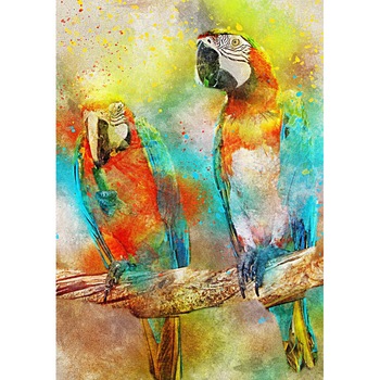Puzzle Bluebird - Parrots, 1.000 piese (70032) Puzzle Bluebird - Parrots, 1.000 piese (70032)