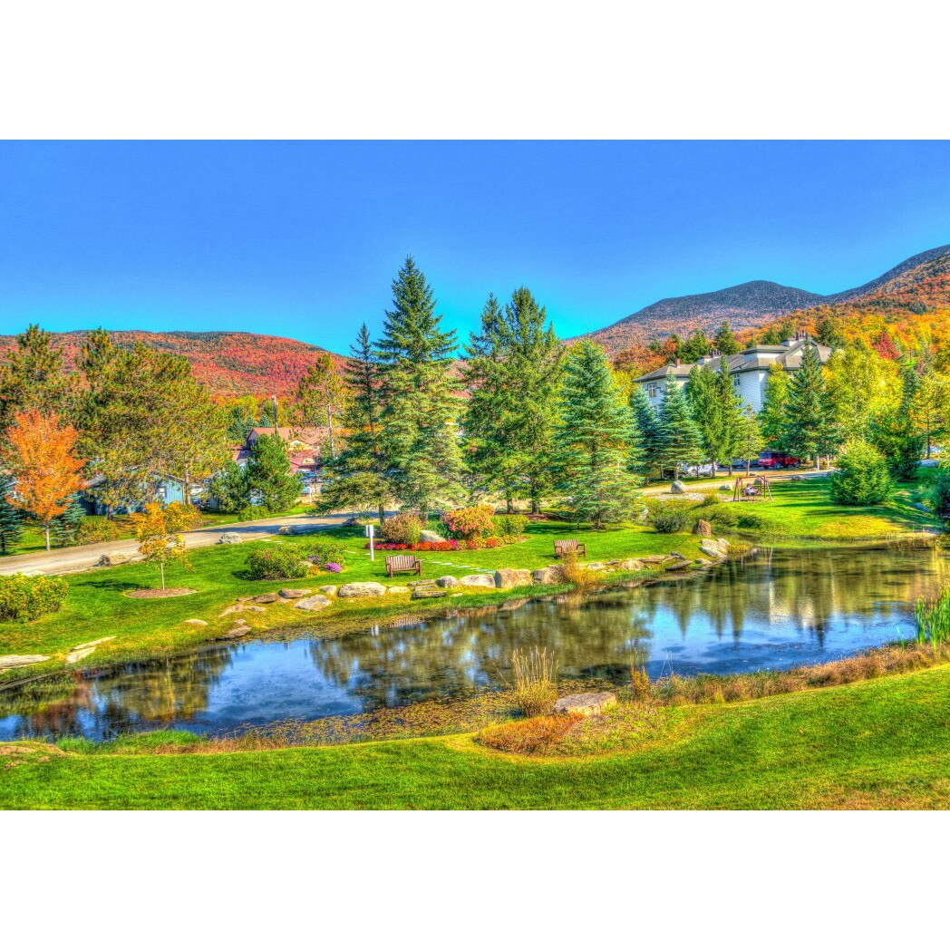 Puzzle Bluebird - Stowe, Vermont, Usa, 1.000 piese (70023)
