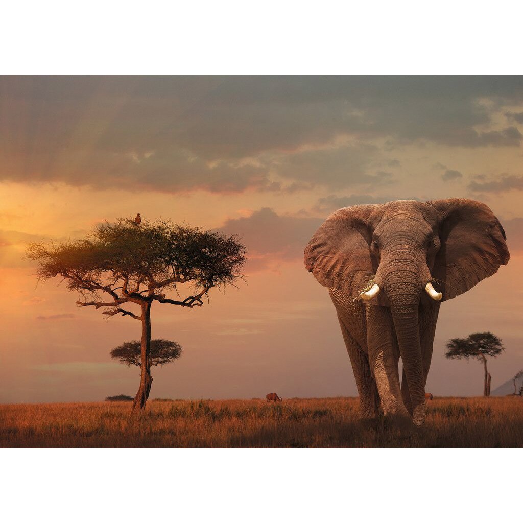 Puzzle Ravensburger - Nature Edition No 13 - Elefant in Masai Mara Nationalpark, 1.000 piese (15159)