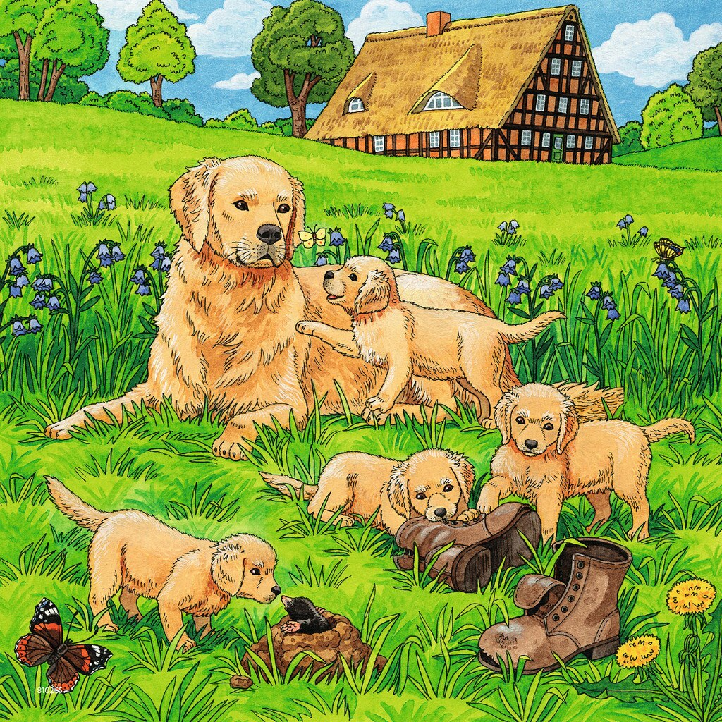 Puzzle Ravensburger - Cats and Dogs, 3x49 piese (08002)
