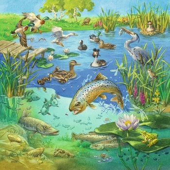 Puzzle Ravensburger - Animals in their Habitats, 3x49 piese (08050) Puzzle Ravensburger - Animals in their Habitats, 3x49 piese (08050)