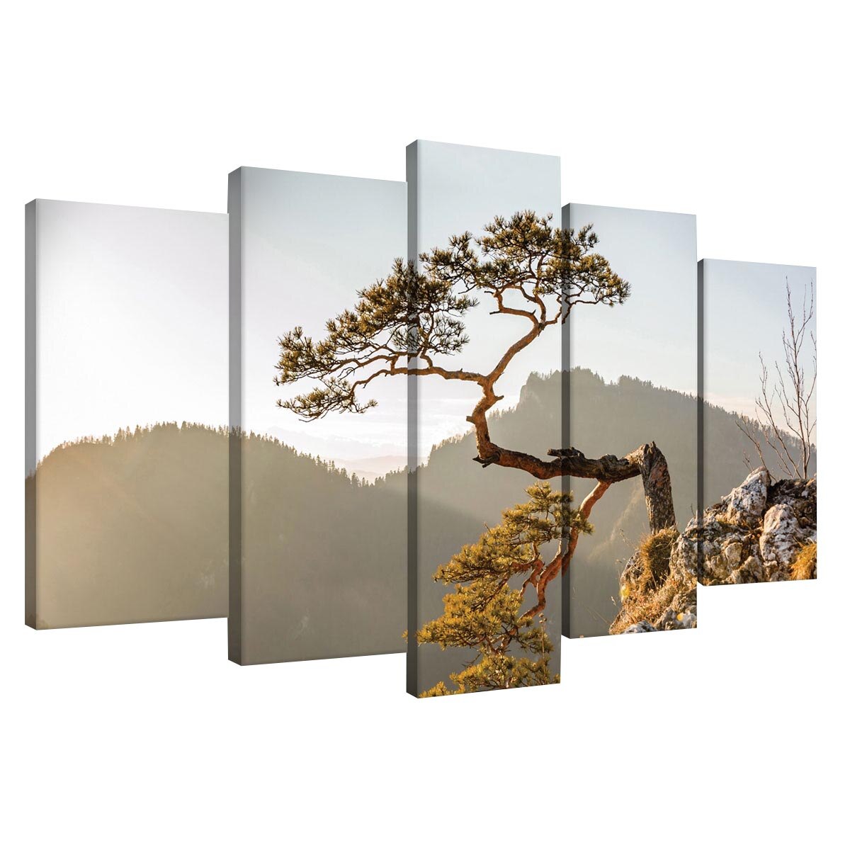 Set Tablouri DEGRETS 78490 Canvas, 60 x 100 cm, 5 piese (2x40x20 cm, 2x50x20 cm, 1x60x20 cm), Munti 2