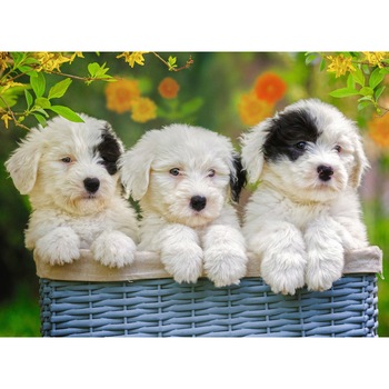 Puzzle Ravensburger - Cuddly Puppies, 200 piese XXL (12765) Puzzle Ravensburger - Cuddly Puppies, 200 piese XXL (12765)