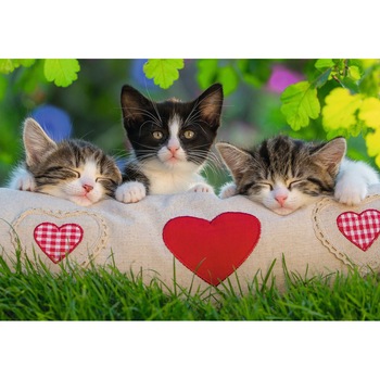 Puzzle Ravensburger - Cats, 2x24 piese (07801) Puzzle Ravensburger - Cats, 2x24 piese (07801)