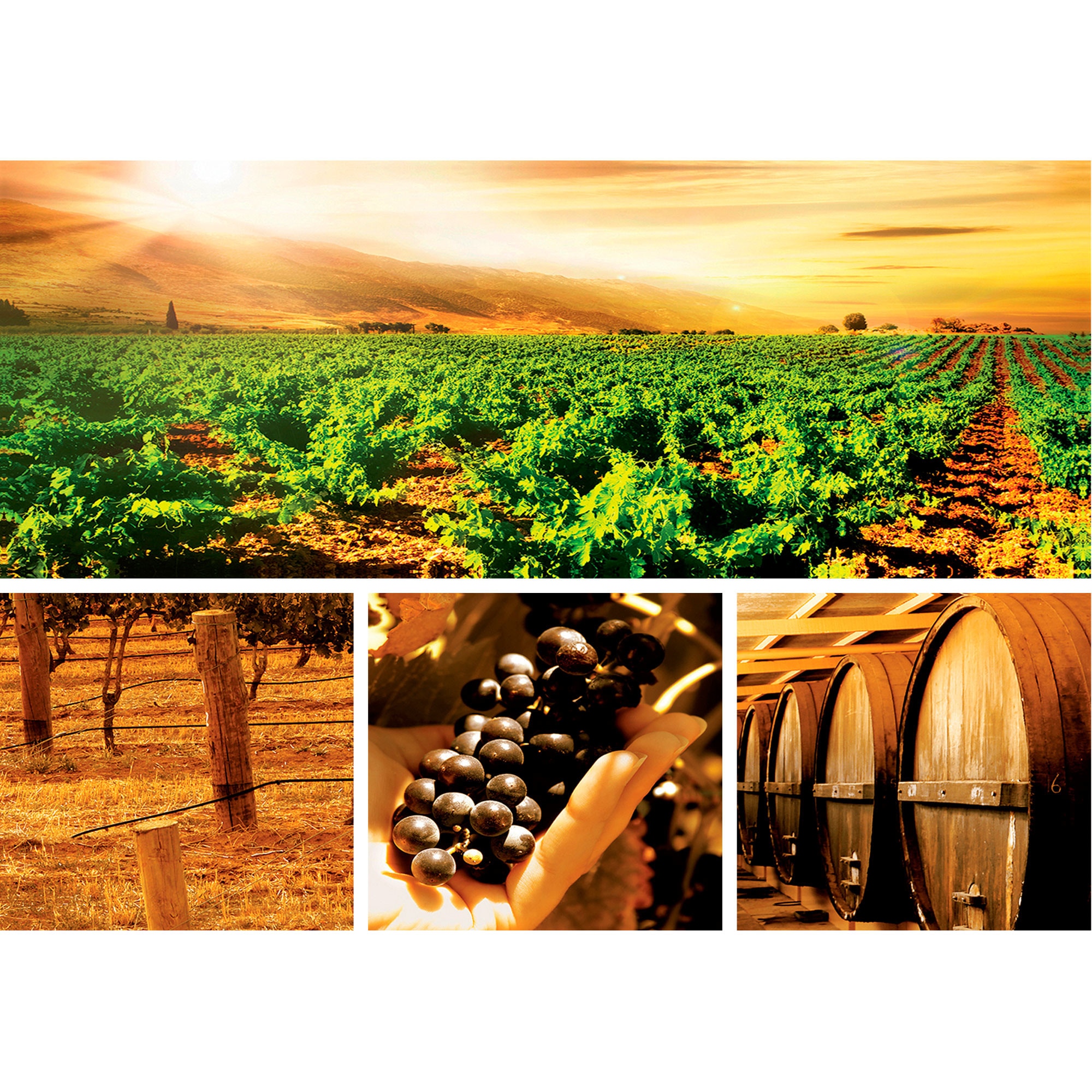 Set Tablouri DEGRETS 78638 Canvas, 55.8 x 80 cm, 4 piese (1x30x80 cm, 3x24.8x25.8 cm), Vin