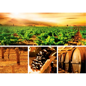 Set Tablouri DEGRETS 78638 Canvas, 55.8 x 80 cm, 4 piese (1x30x80 cm, 3x24.8x25.8 cm), Vin Set Tablouri DEGRETS 78638 Canvas, 55.8 x 80 cm, 4 piese (1x30x80 cm, 3x24.8x25.8 cm), Vin