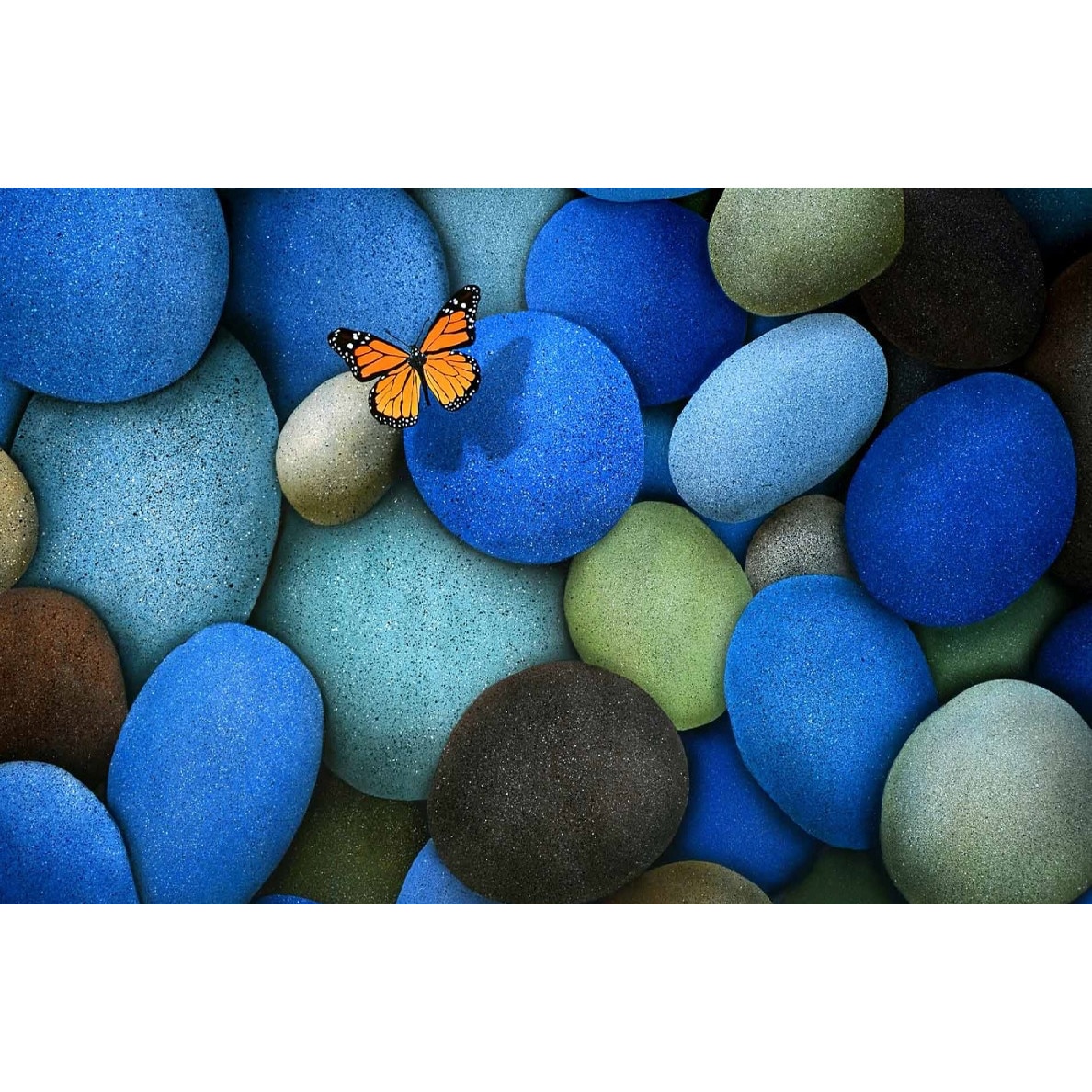 Tablou canvas Zbor peste pietre, 45 x 30 cm