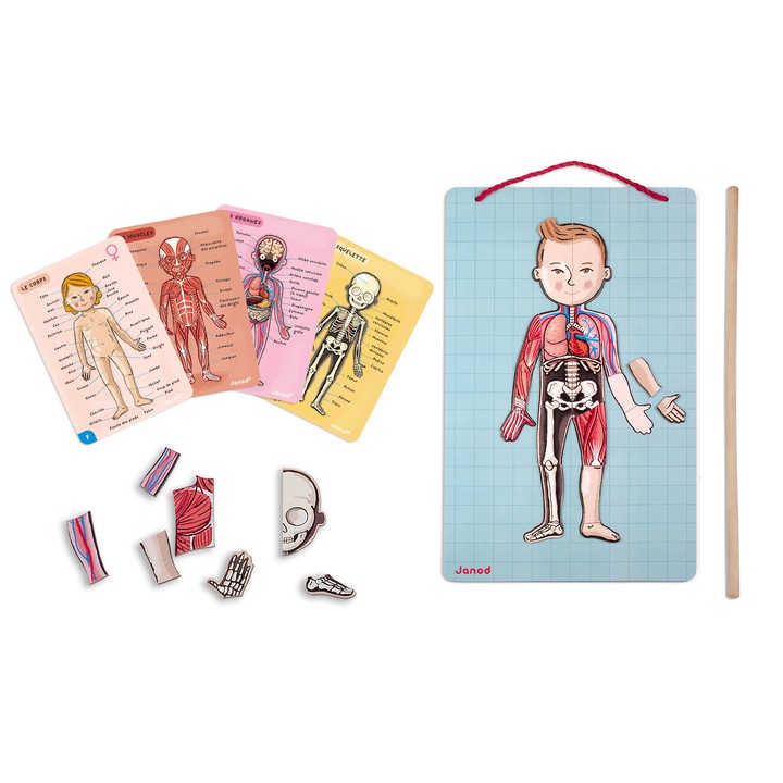 Janod Mágneses játék, Emberi test, 99 darabos