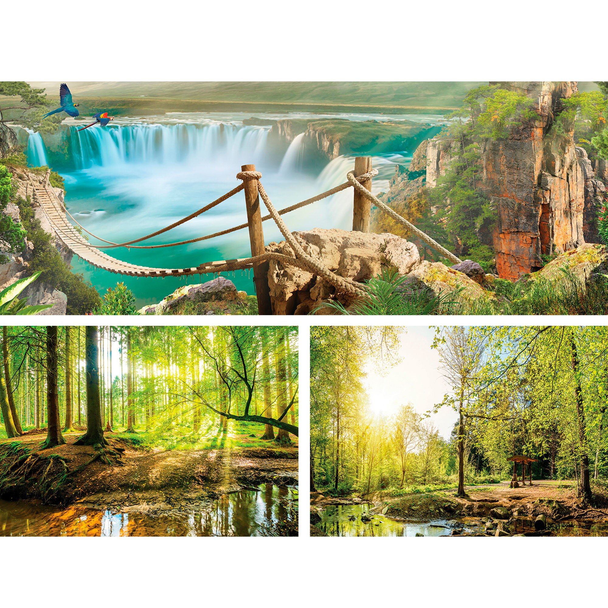 Set Tablouri DEGRETS 78648 Canvas, 55.8 x 80 cm, 3 piese (1x30x80 cm, 2x25.8x37.5 cm), Natura 5