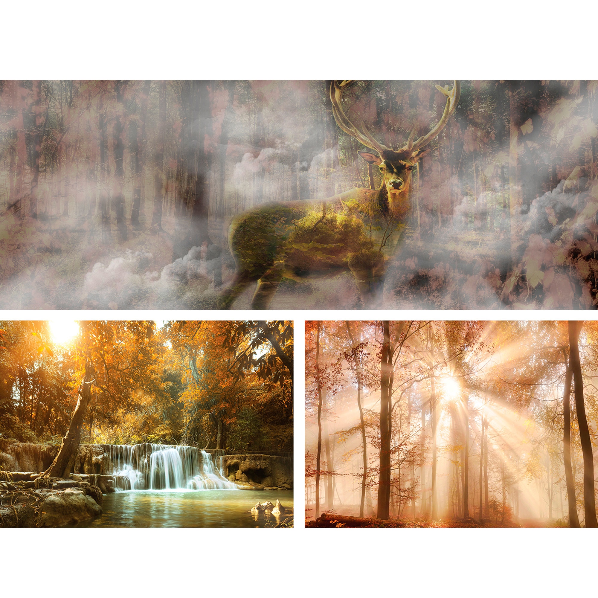 Set Tablouri DEGRETS 78650 Canvas, 55.8 x 80 cm, 3 piese (1x30x80 cm, 2x25.8x37.5 cm), Padure de poveste