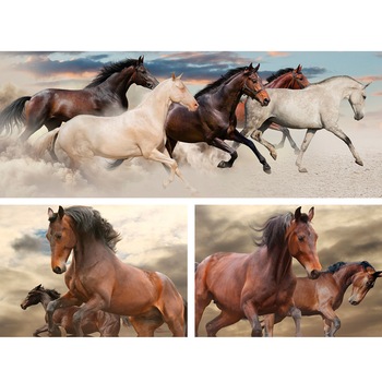 Set Tablouri DEGRETS 78651 Canvas, 55.8 x 80 cm, 3 piese (1x30x80 cm, 2x25.8x37.5 cm), Cai 2 Set Tablouri DEGRETS 78651 Canvas, 55.8 x 80 cm, 3 piese (1x30x80 cm, 2x25.8x37.5 cm), Cai 2