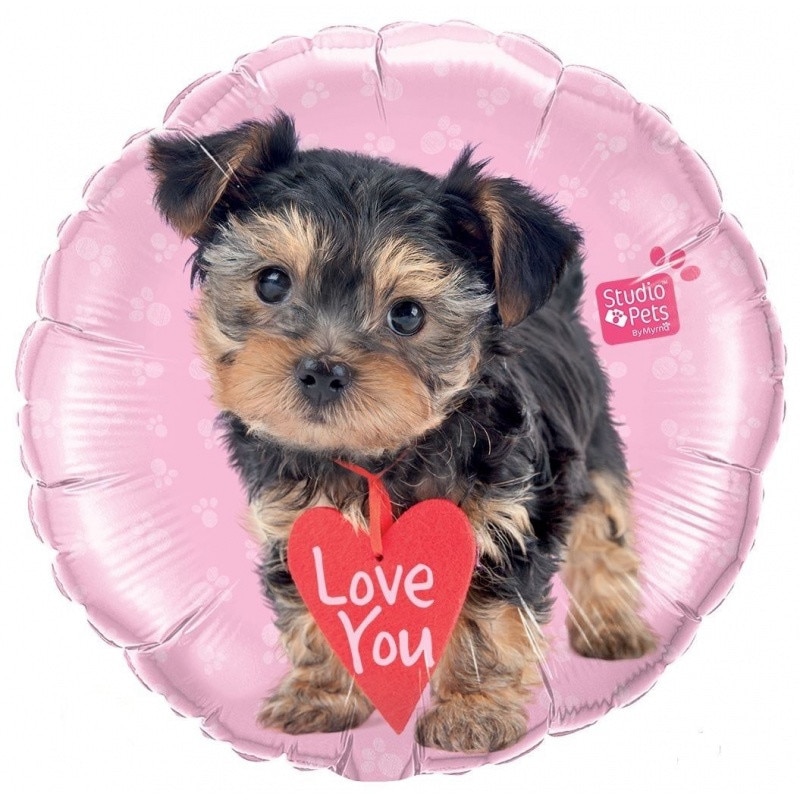 Balon Folie 45 cm Love You Catelus, Qualatex 55232
