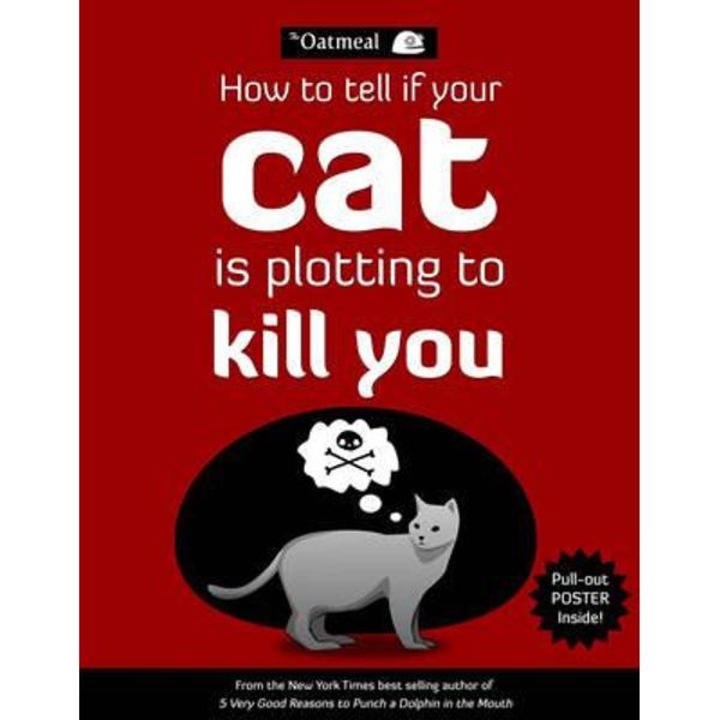 How to Tell If Your Cat is Plotting to Kill You