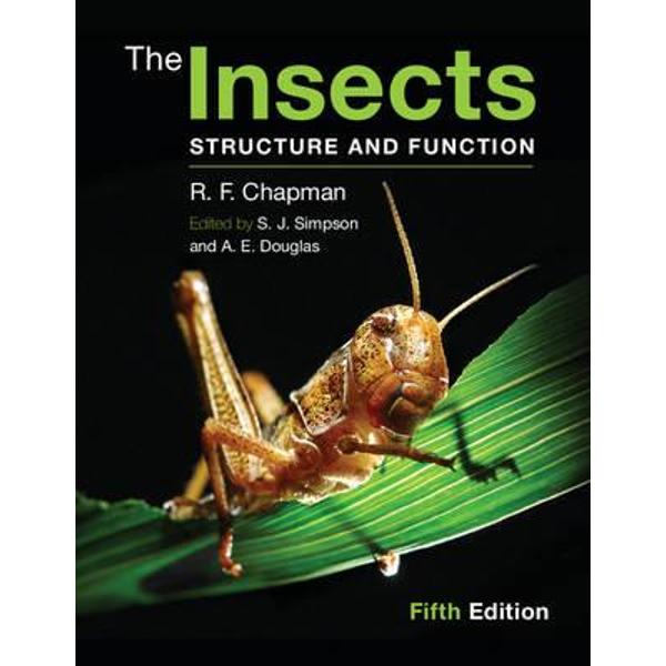 Insects