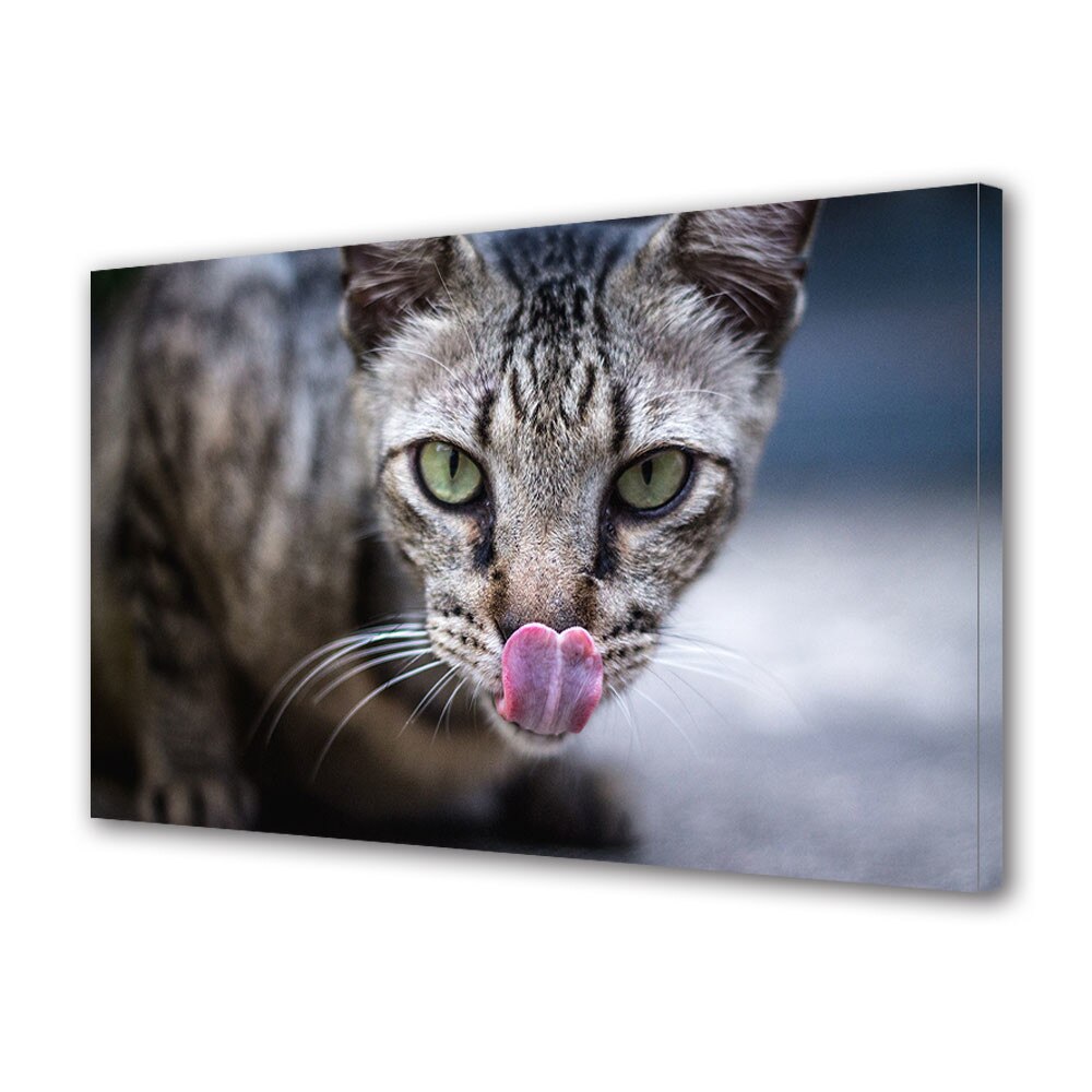 Tablou Canvas Premium Art Factory TrueColor Flori Multicolor Pisica cu  limba scoasa, Panza pe cadru de lemn, Decoratiuni pentru Casa, 80 x 140 cm