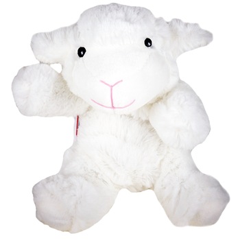 Perna termica Oita  Perna termica Oita