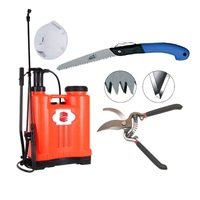 pachet gradina sokotools pompa de stropit vermorel 16 litri asamblat  ferastrau rabatabil gradinarit pillana professional foarfeca pt vie profesionala linch 9 masca praf cu supapa ffp1 imagen 5_0_
0