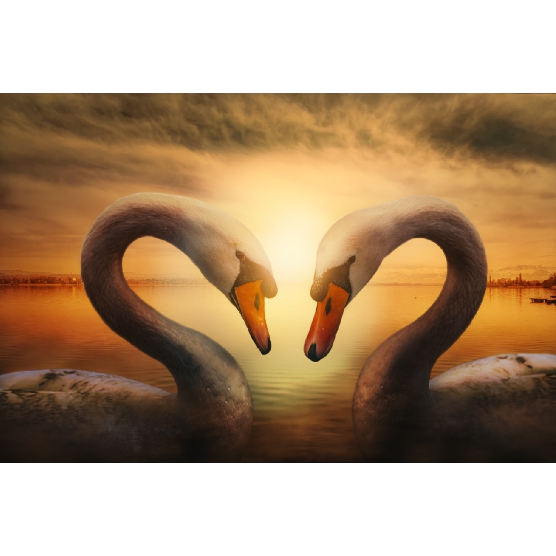 Tablou canvas Lebada 1, 45 x 30 cm