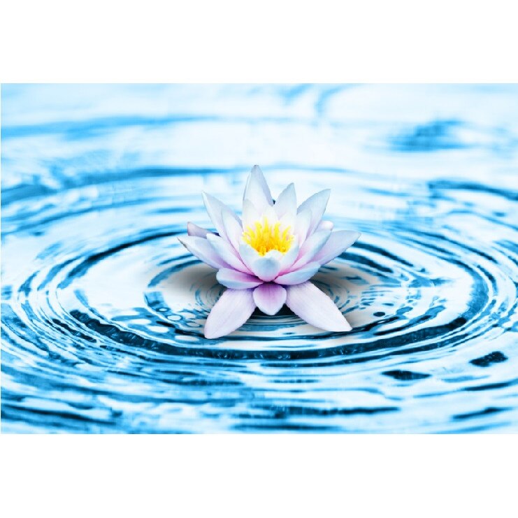 Tablou canvas Flori 6, 60 x 40 cm