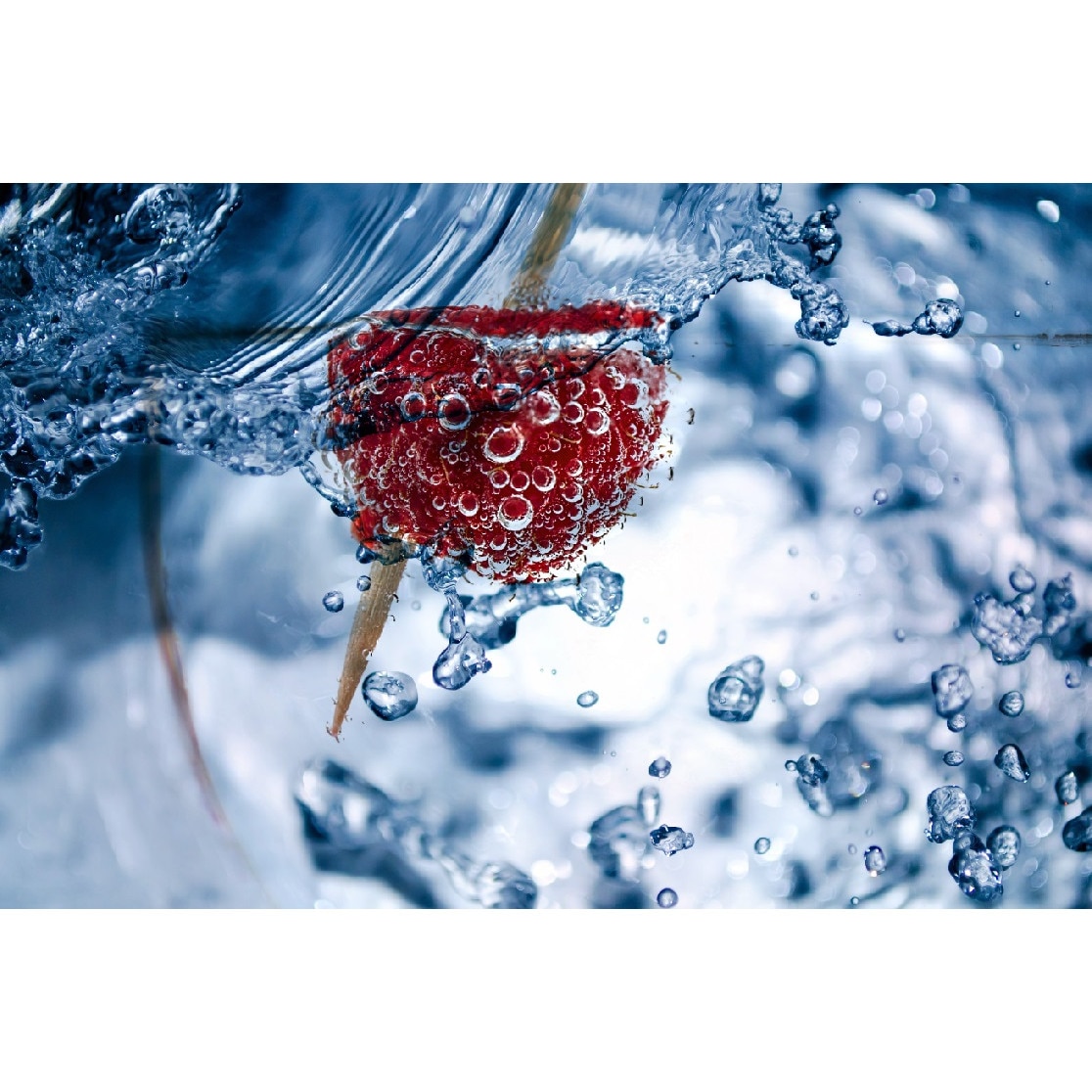 Tablou canvas Flori 5, 60 x 40 cm