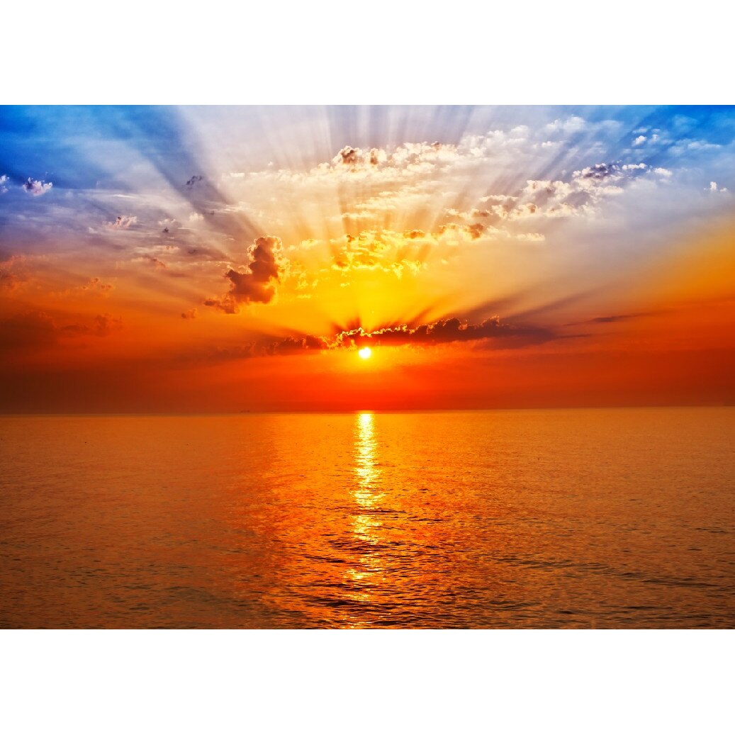 Tablou canvas Natura 7, 45 x 30 cm