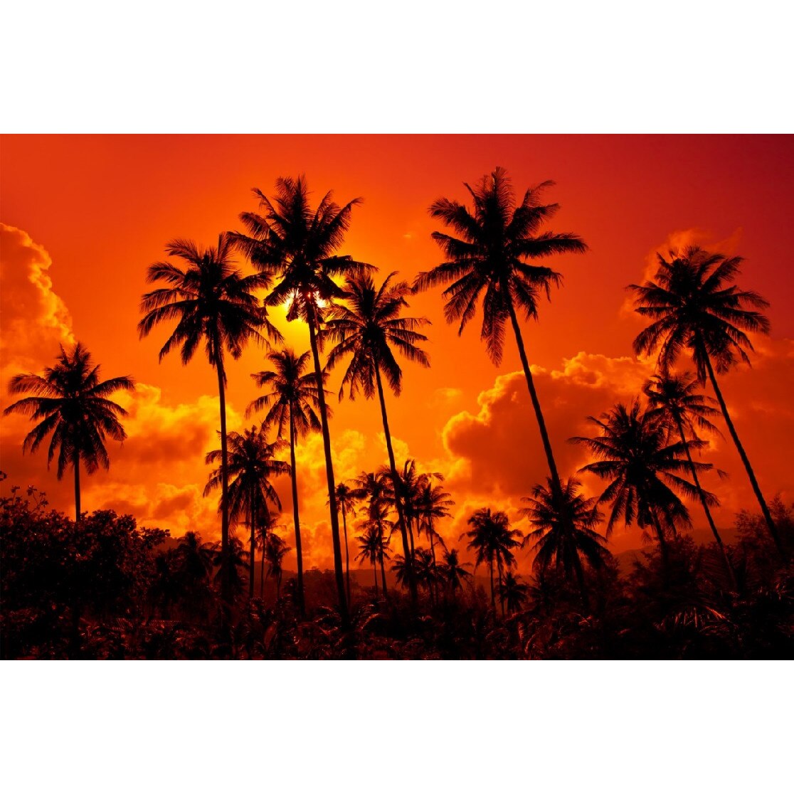 Tablou canvas Natura 4, 45 x 30 cm