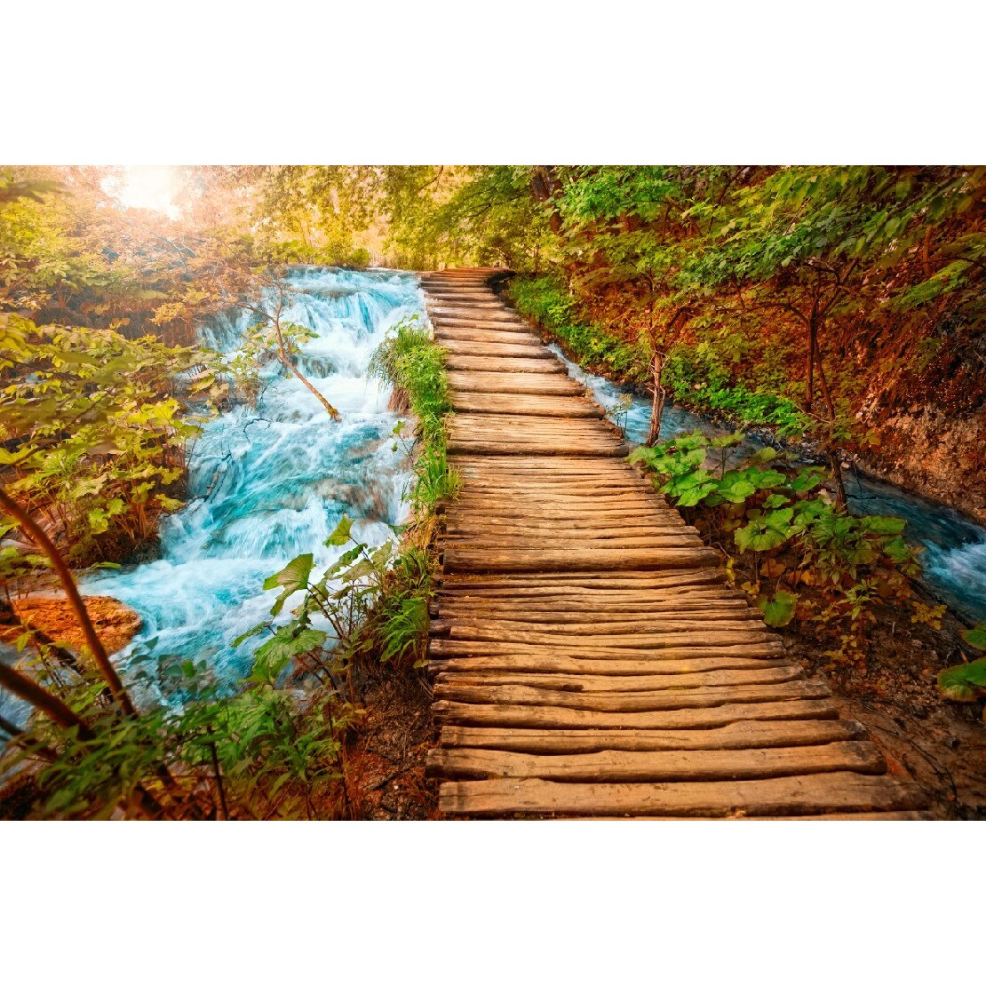 Tablou canvas Natura 11, 75 x 50 cm