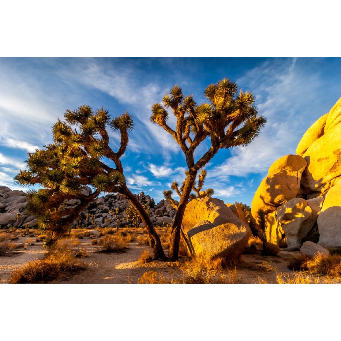 Tablou canvas Natura 10, 90 x 60 cm