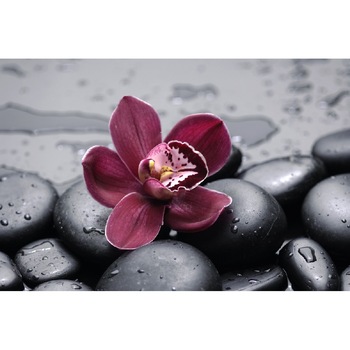 Tablou canvas Flori 15, 90 x 60 cm Tablou canvas Flori 15, 90 x 60 cm
