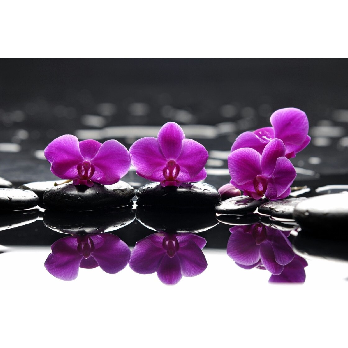 Tablou canvas Flori 9, 45 x 30 cm