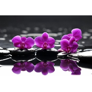 Tablou canvas Flori 9, 45 x 30 cm Tablou canvas Flori 9, 45 x 30 cm