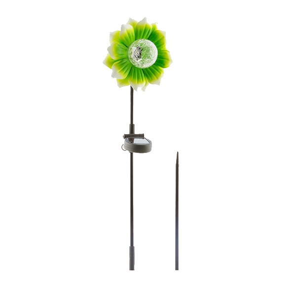 Floare solara pentru gradina ,Oh My Home