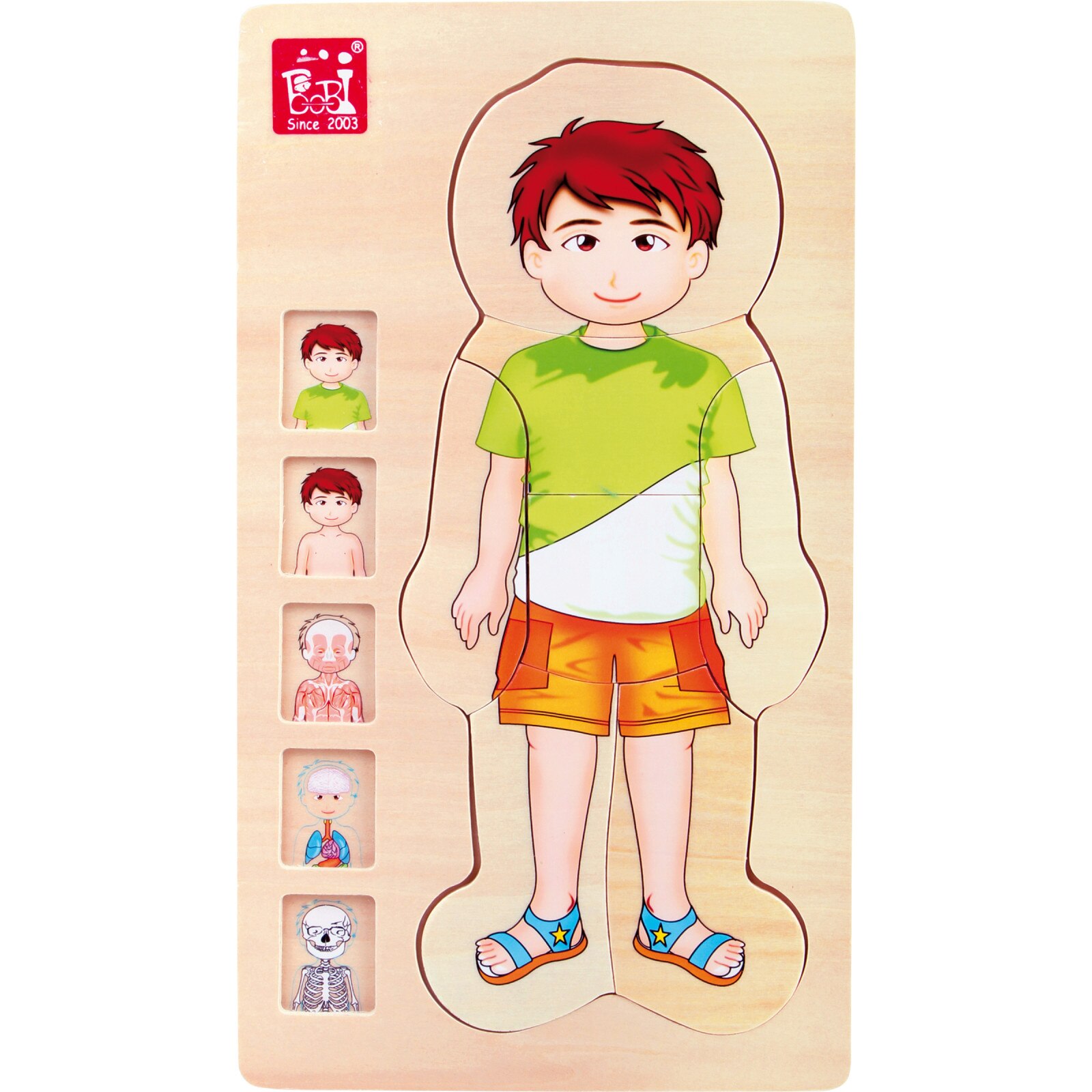 Puzzle anatomie baietel