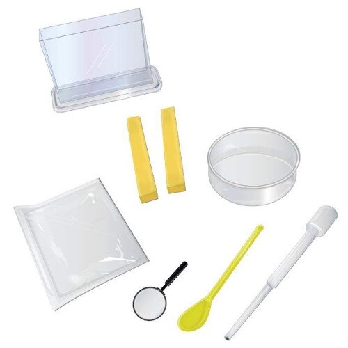 Set de joaca experimente Radacini si muguri Keycraft, 6 ani+