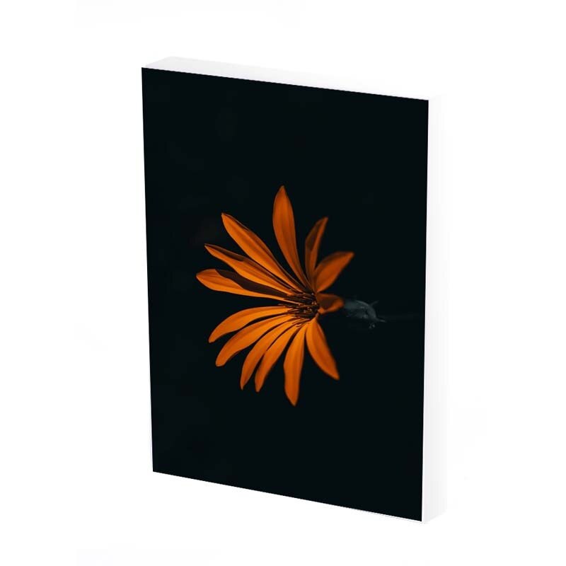 Tablou Canvas, Floare portocaliu, 50x30 CM, D183A