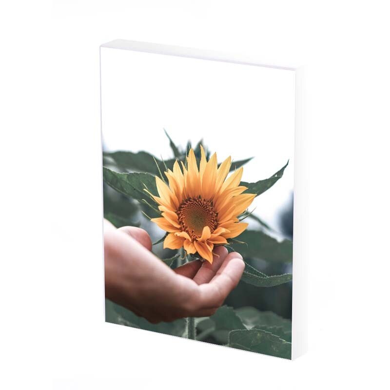 Tablou Canvas, Floarea-soarelui, 35x25 CM, D210A