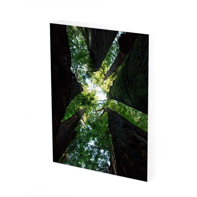 Tablou Canvas, Padure, 50x30 CM, D220A