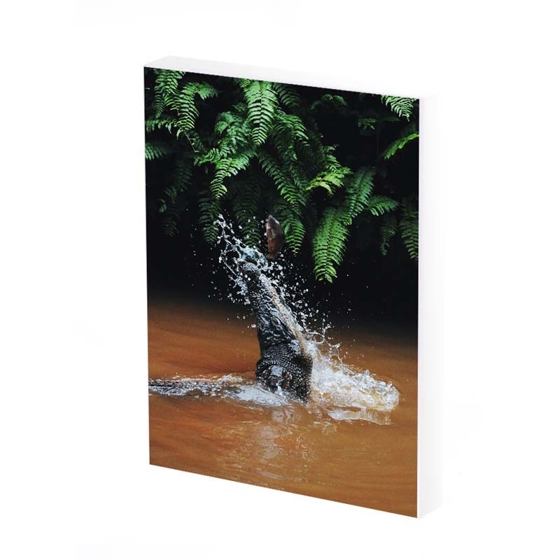 Tablou Canvas, Crocodil, 50x30 CM, D270A