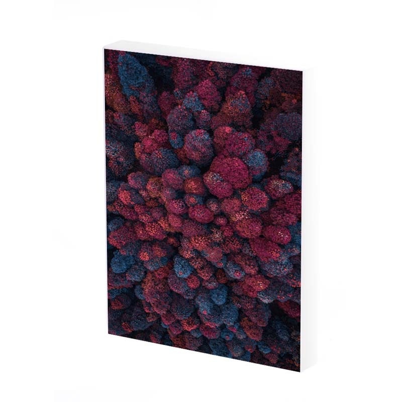 Tablou Canvas, Toamna in padure, 35x25 CM, D236A