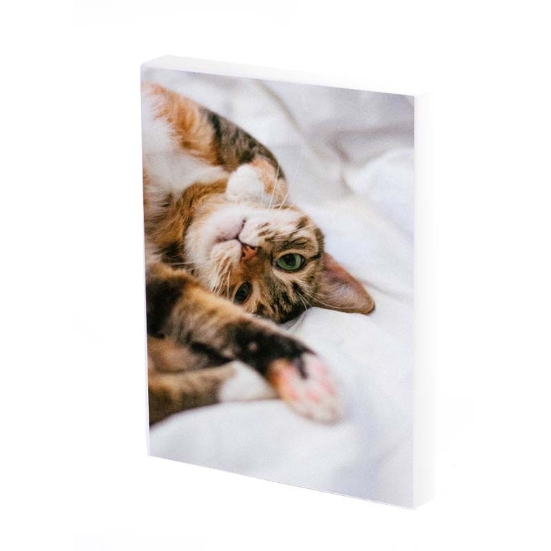 Tablou Canvas, Pisica, 35x25 CM, D254A