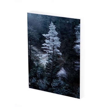 Tablou Canvas, Snowy Tree, 35x25 CM, D311A Tablou Canvas, Snowy Tree, 35x25 CM, D311A