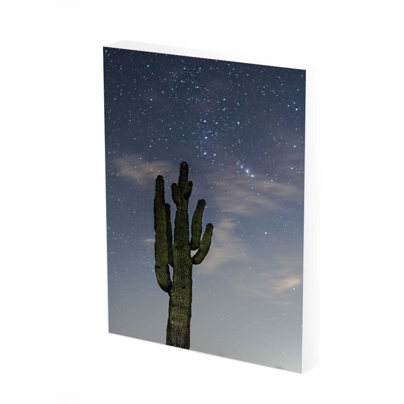 Tablou Canvas, Cactus in the night , 35x25 CM, D292A